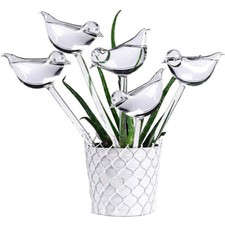 5PCS Plant Watering Devices