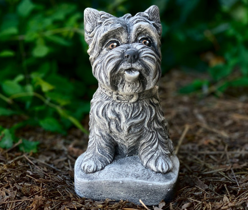 Concrete westie dog statue - westie,