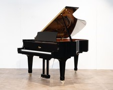 Steinway Boston 193 Grand