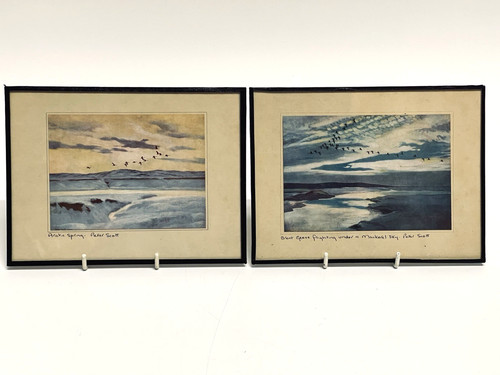 Peter scott prints arctic - scott,