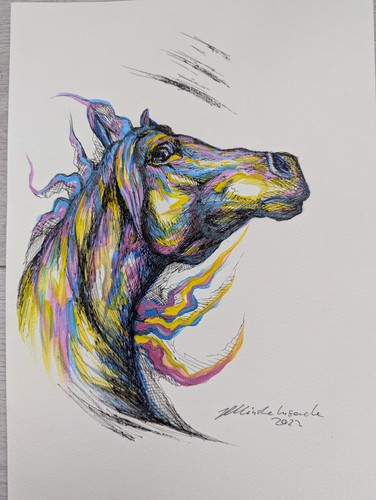 Rainbow spirit horses - rainbow, –