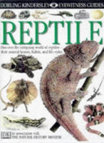 Reptile by - reptile,