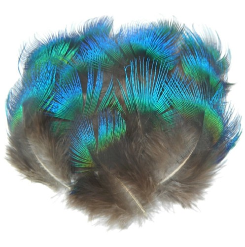 Rare natural blue fan - rare,