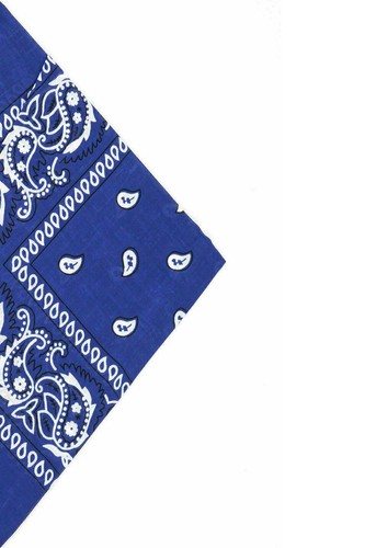 Bandana paisley neck head - bandana,