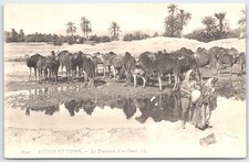 Vintage French Postcard La