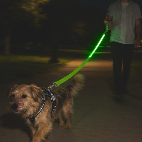 Usb rechargeable led dog - led, lead