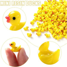 Mini Resin Ducks Set Tiny Duck