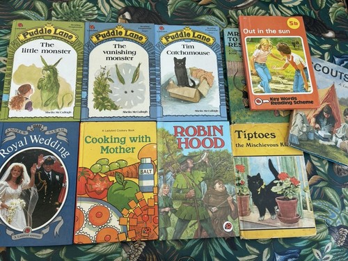 Ten vintage ladybird books - vintage,