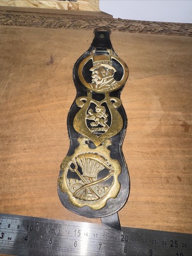 Brass horse brasses mounted - horse,