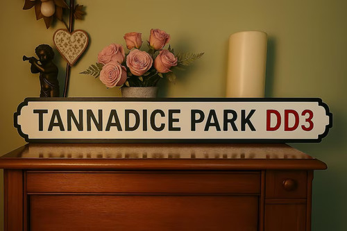 Tannadice park faux - tannadice,