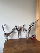 Driftwood  x3  silver trees of