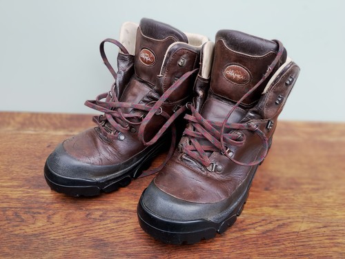 Chameau hiking boots - le,