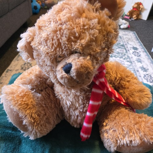 Clintons teddy bear with red - teddy,