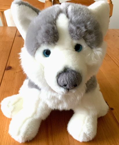 Husky dog plush toy - , 12”