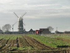 Photo 6x4 Man harvests the