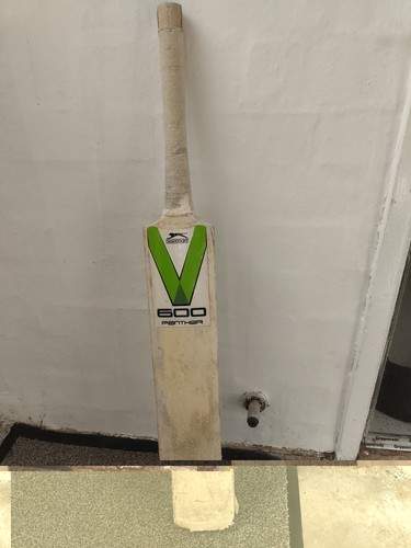 Slazenger v600 panther cricket - panther,