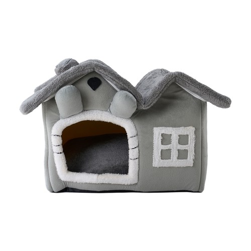 Pet cute cat warm soft - pet,