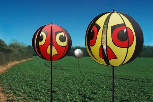 Portek hawk eye globe bird - portek,