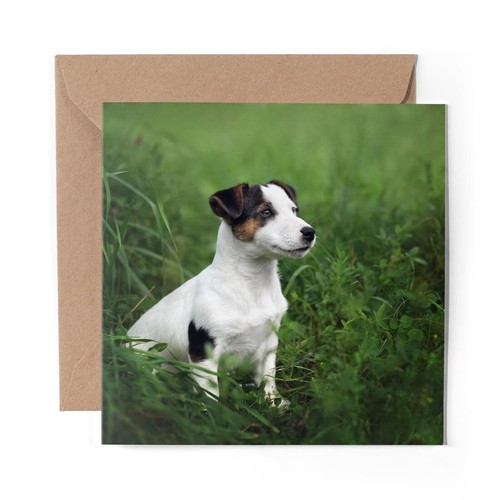 Blank greeting card - 1, x