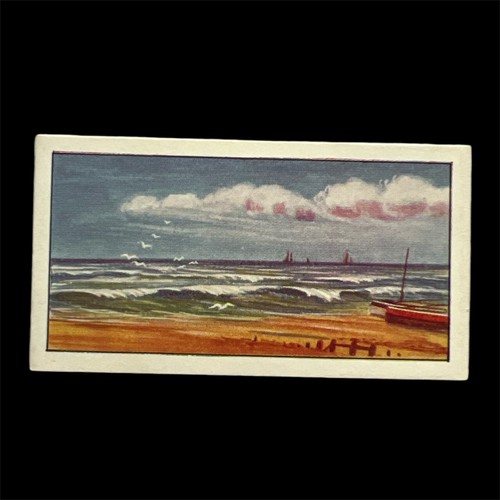 Typhoo tea ltd trade - card, do