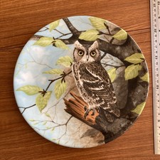Coalport Long Eared Owl by