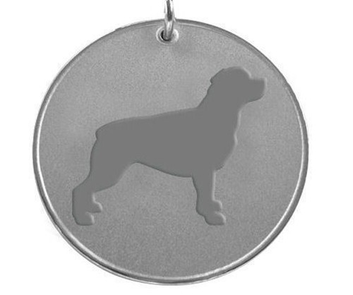 Rottweiler dog chrome pet - dog, id