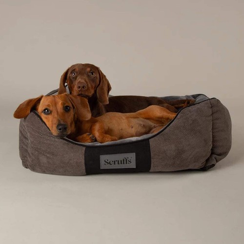 Scruffs chester box dog - scruffs,