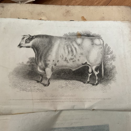 Antique farm print - antique,