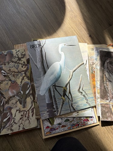 Vintage rspb birds - rspb,