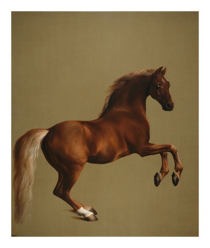 George stubbs whistlejacket - george,