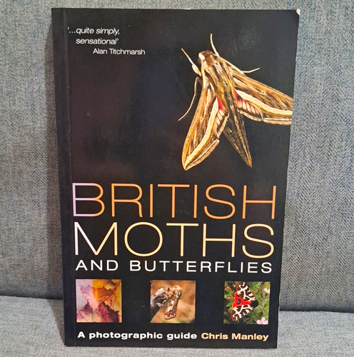 British moths and butterflies - british,
