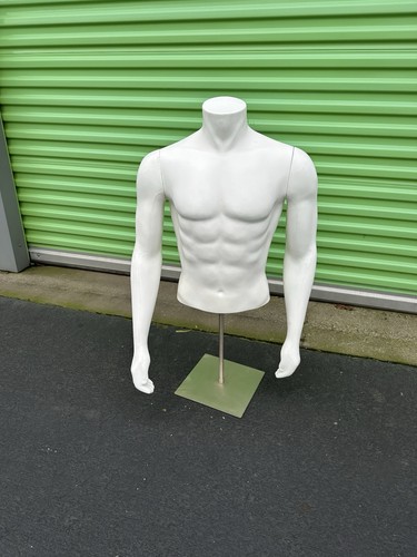Male athletic torso