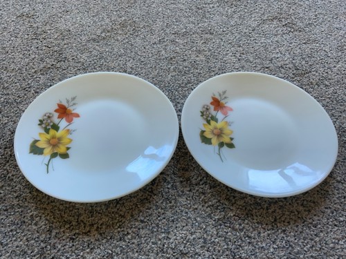 Jaj pyrex autumn glory - jaj,