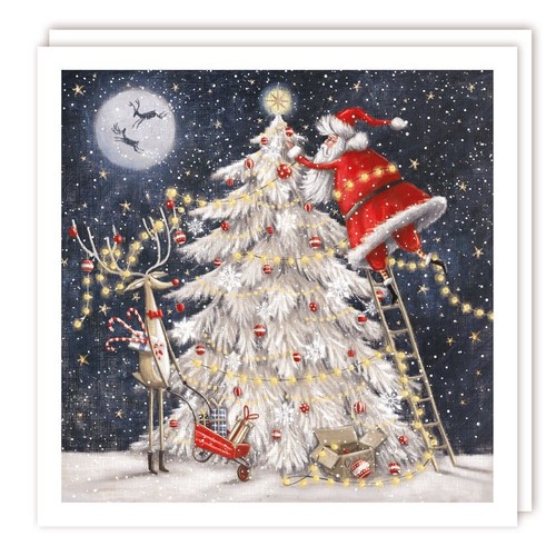 Christmas cards medium santa - christmas,