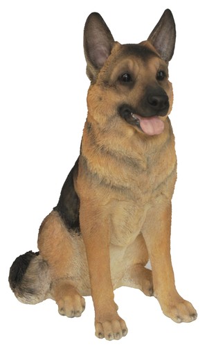 Alsatian german shepherd dog - alsatian,