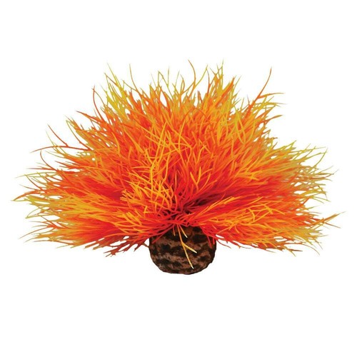 Biorb sea lily - sea,