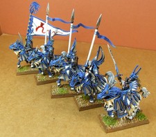 Warhammer High Elves  - Dragon Princes x5 - plastic - painted (BZ)