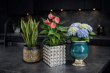 Flower pot home - flower, decor
