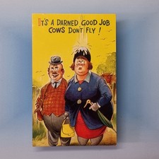 Comic Postcard C1975 Fat Lady