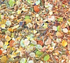 GUINEA PIG FOOD bestpets small animal dry adult feed pet pellet seed biscuit mix