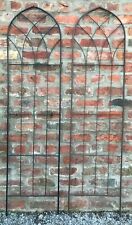 Gothic Garden Climbing Plant