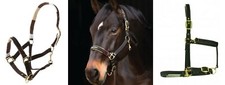 HORSEWARE PADDED HEADCOLLAR