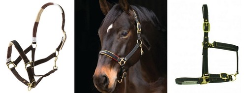 Horseware padded headcollar - padded,