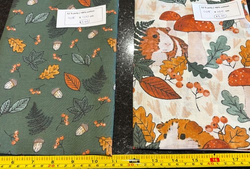 Autumn guinea pigs leaves - guinea, &
