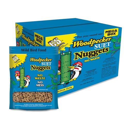 Wild bird woodpecker - wild, suet