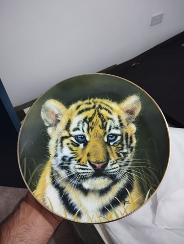 Princeton gallery cubs - princeton,