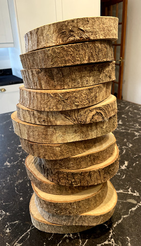 Wood log tree slices - , 13-