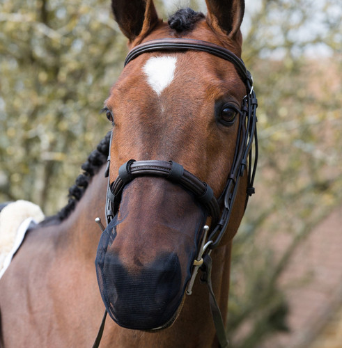 Equilibrium muzzle net - equilibrium,