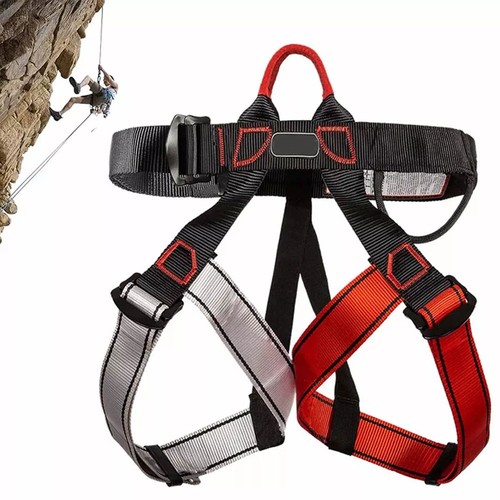 Tree climbing half body safety - tree,