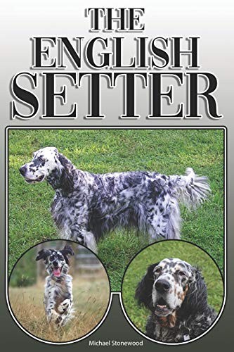 The english setter complete - setter:,